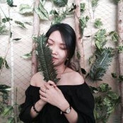 Mi Thảos foto