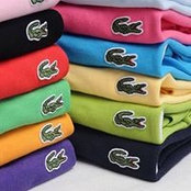 Lacoste Hub's photo