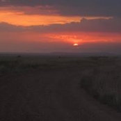 Tony Ratka's photo