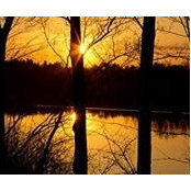 Barb Skaggs Ray's photo