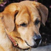Allison Allen's photo