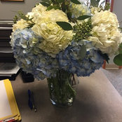 Michelle Hayden's photo