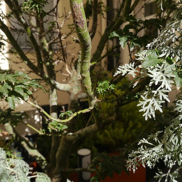 Terrasse parisienne - "Le nid urbain"