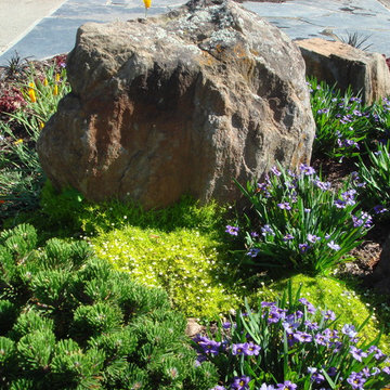 Tiburon Strolling Garden