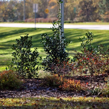 Augusta Regional Airport Landscape Renovation