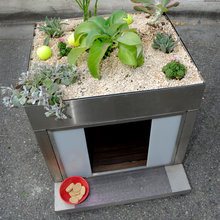 Dog House