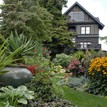 Hosta garden