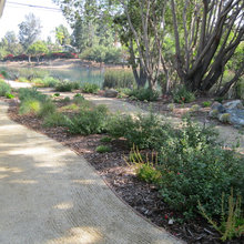 front yard