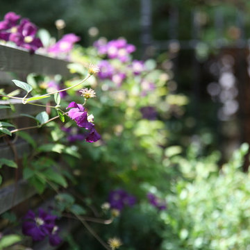 Highgate Garden
