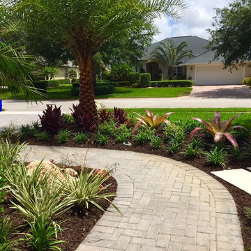 Tropical front & backyard landscapes....Palms & Color