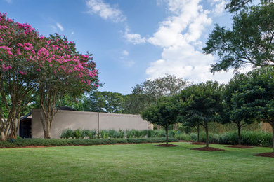 Inspiration for a mid-century modern front yard landscaping in New Orleans.