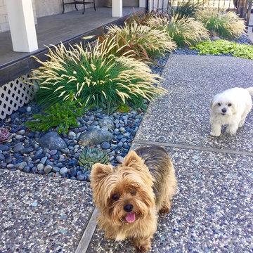 Low-water Drycreek Garden