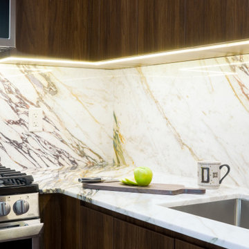 Harlem Condo Kitchen