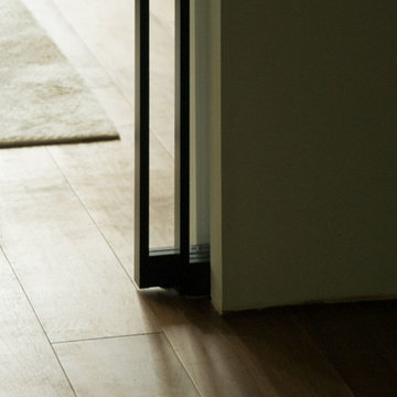 Pocket Sliding Door