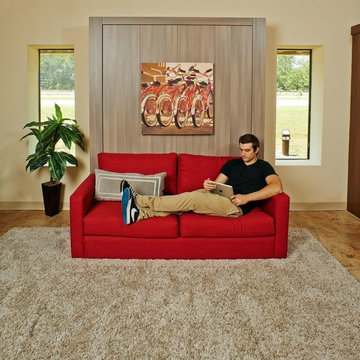SOFA AND MURPHY BED