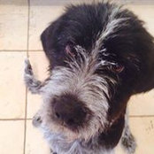 Edith Konstantinov's photo