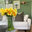 Heidi Carlow Interiors