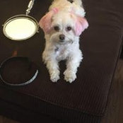 Erica Barker's photo