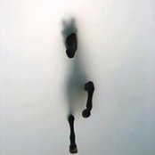 Michael Warner's photo