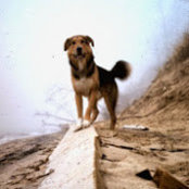 John Zanella's photo
