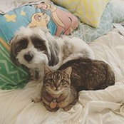 Foto von Arinha Dey