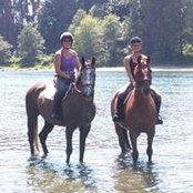 Whitney Spicher's photo