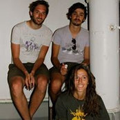 Tom Shadbolts billede