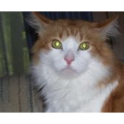 Brenda Hickman's photo