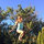 sam_prowse