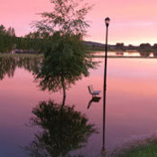 Gail Young's photo