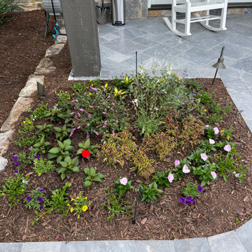 Spring and Summer Annuals Landscape Beds