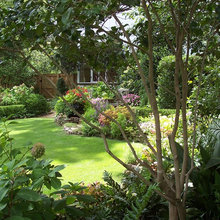 Backyards