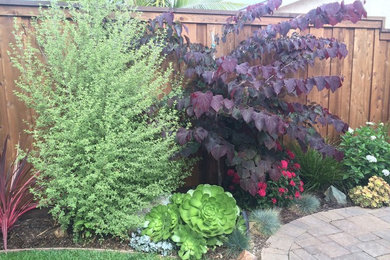 Photo of an eclectic landscaping in San Diego.