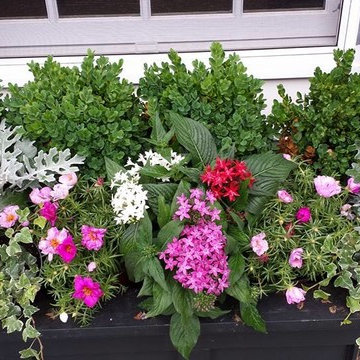 Container Gardens-New Vernon