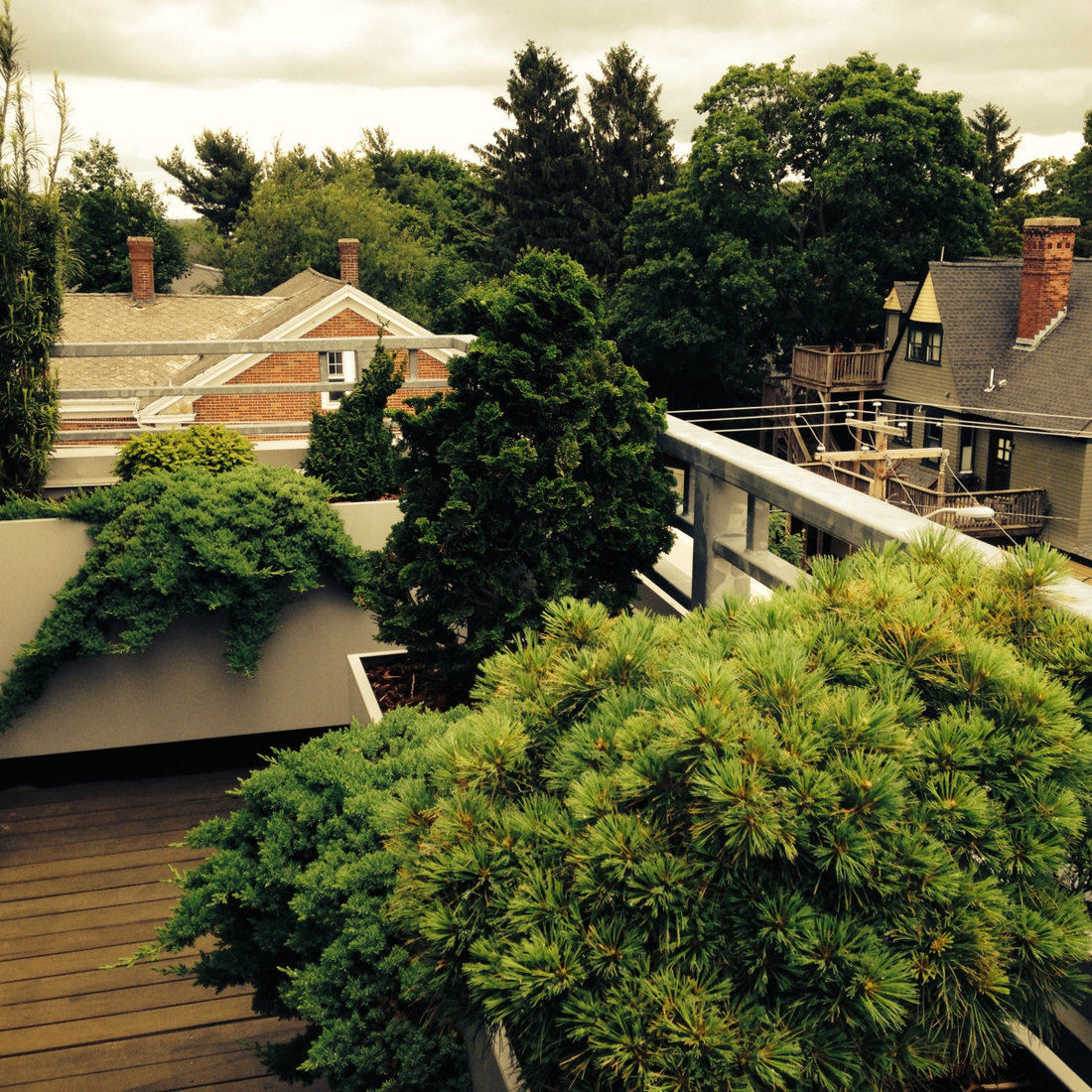 container gardens
