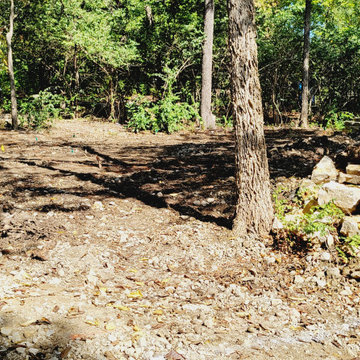 Woodland Restoration Before