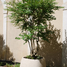 JARDINS