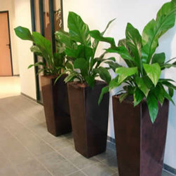 Modern Planter - Products
