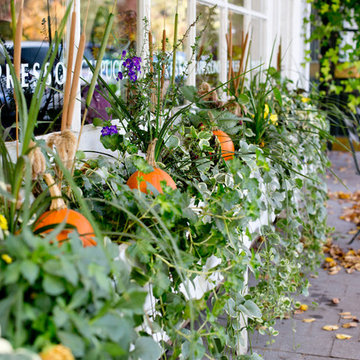 Houzz TV: Take a Leaf-Peeping Road Trip in New England