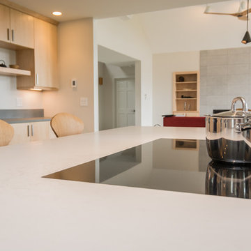 Full-Access Contemporary Kitchen