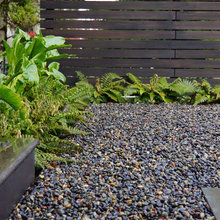 Entry Courtyard