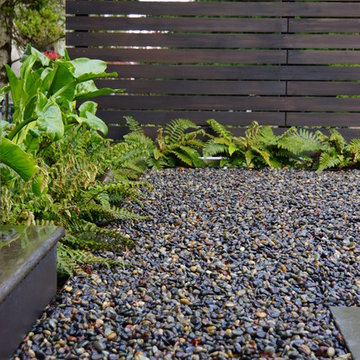 Modern Entry Courtyard