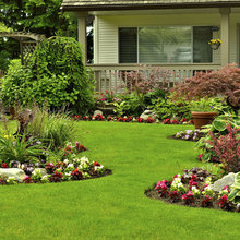 Landscape Ideas