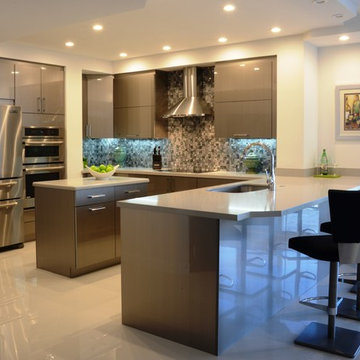 Contemporary Kitchen Remodel (Miami, FL)