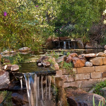 Backyard Water Feature