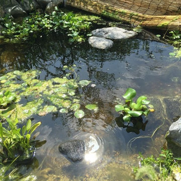 畑のある庭