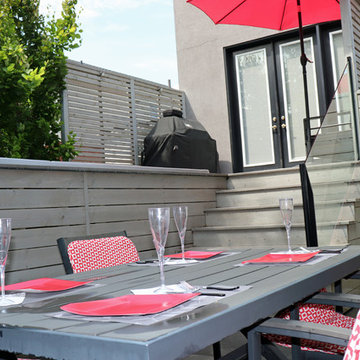 Danforth Modern Backyard Swim Spa