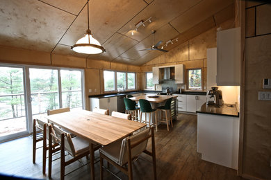 Danish kitchen photo in Other
