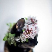 Bernice Cabildo's photo