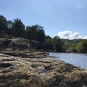 Heidi Whitley's photo